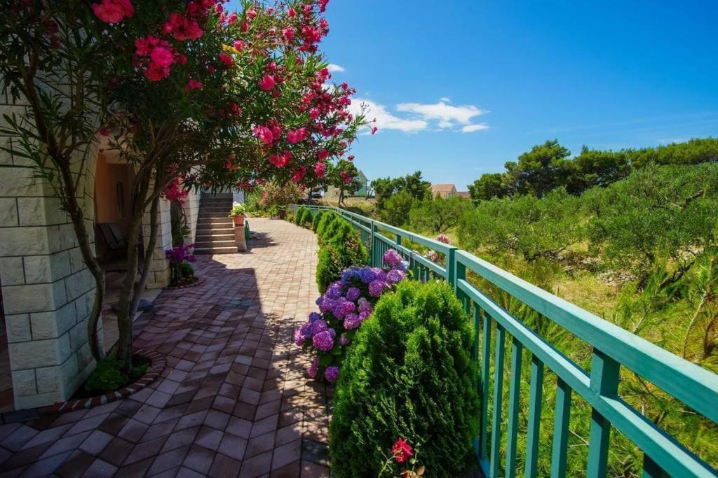 Villa Mara Промайна Екстериор снимка